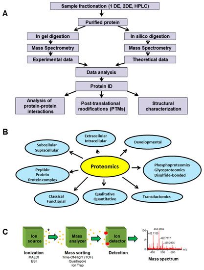 Proteomes | Special Issue : Proteomics in Cancer Research