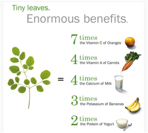 Moringa Powder – Pursuit By Brittany Ashley