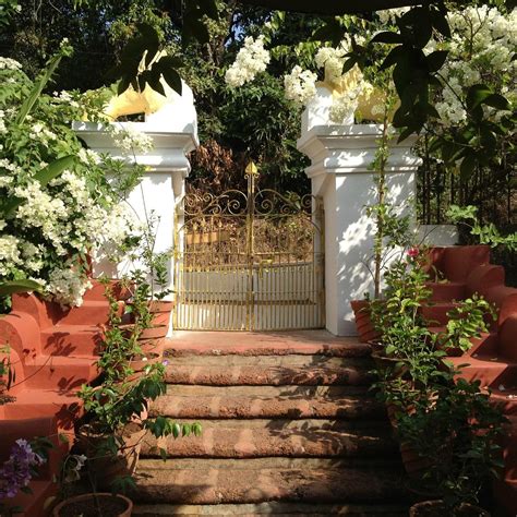 CHESHIRE CAT GOA - All You Need to Know BEFORE You Go 2026 (with Photos ...