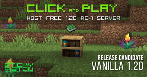 Image result for Minecraft 1.19 Server Java