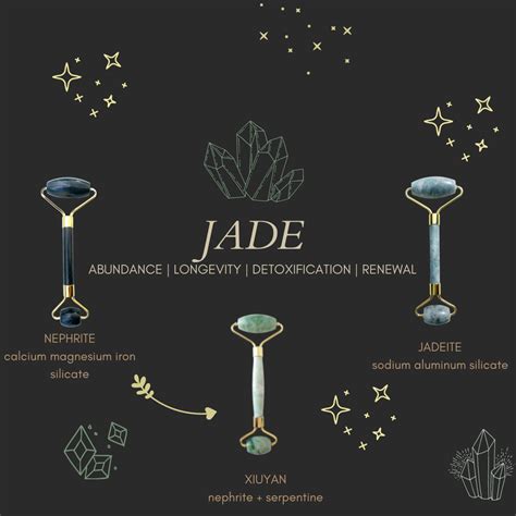 A Comprehensive Guide to Jade - Wilder North Botanicals