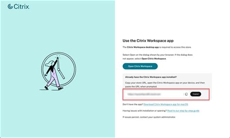 Image result for Store URL Citrix