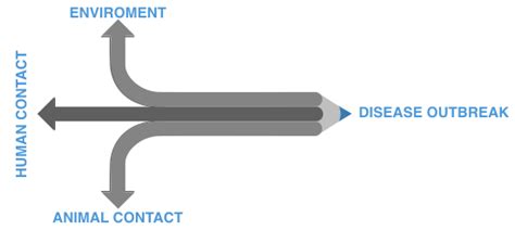 Factors affecting spatial and temporal trends of an infectious disease ...