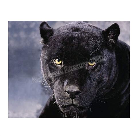 Buy Intimidating Black Panther-8 x 10- Wall Art- Ready to Frame- Home ...