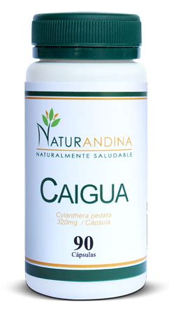 Caigua | Naturandina