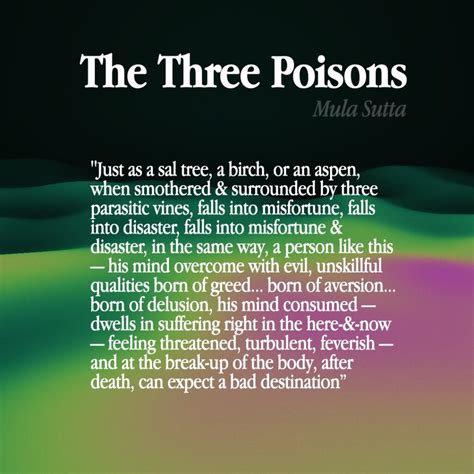 The Three Poisons – Buddhism - Dhamma Source