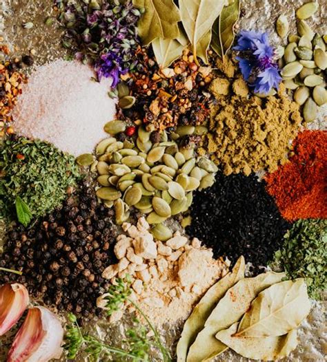 Group Companies – Sayaji Group