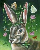 Image result for Bunny Rabbit Art