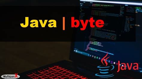 Java.lang.byte 的图像结果