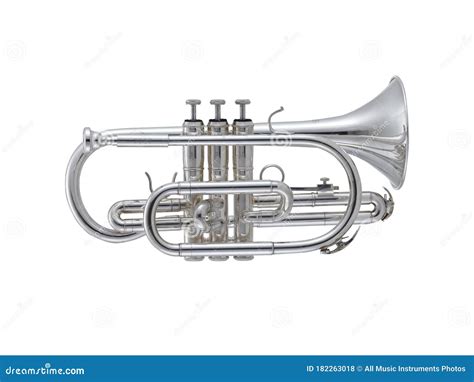 Image result for Cornet Musical Instrument