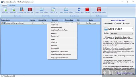 Convert Video Format Input Ace 的图像结果