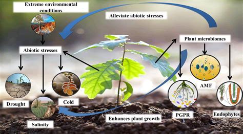 Agriculture Xp Abiotic Factor