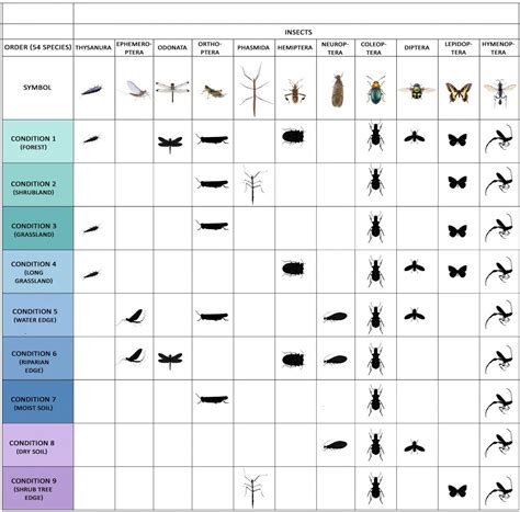Pockets of Life | CEPT - Portfolio
