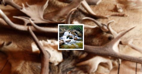 Obituary | William "Billy" Joseph Coss Jr. of Newark, Ohio | Brucker ...