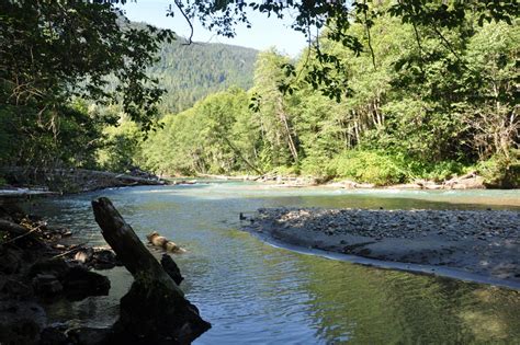 Silver Fir Campground Washington: Camping Reservations & Amenities