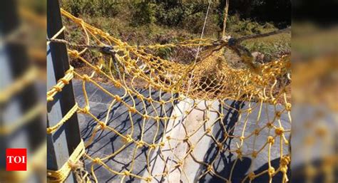 Kerala: Several tourists injured as hanging bridge breaks down in ...