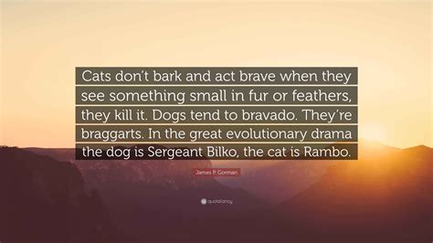 James P. Gorman Quote: “Cats don’t bark and act brave when they see ...
