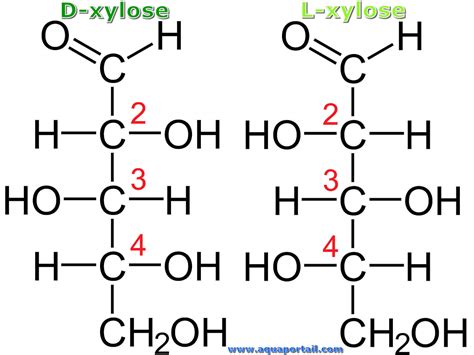 Structure Of Xylose
