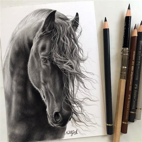 Realism with Animal Portrait Drawings | Realistic drawings, Portrait ...
