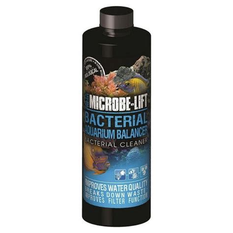 Buy Microbe-Lift Bacterial Aquarium Balancer Water Clarifier 16 Oz by ...