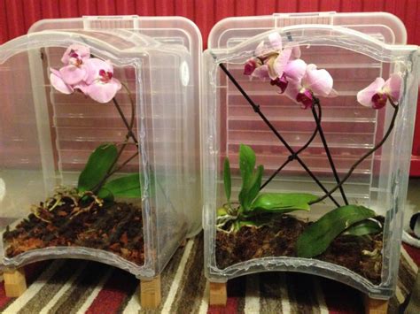 Storage Containers Reuse 的图像结果