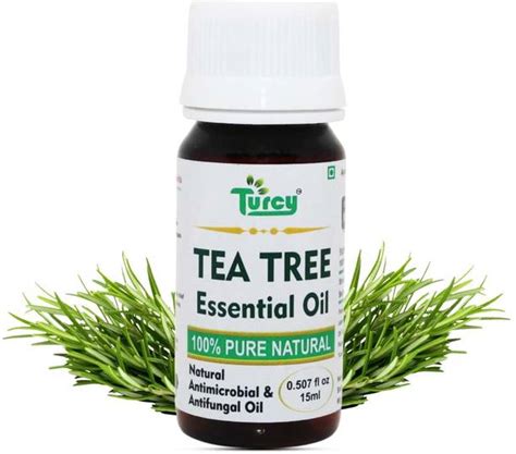 Tea Tree Oil - Buy Tea Tree Oil online at Best Prices in India ...