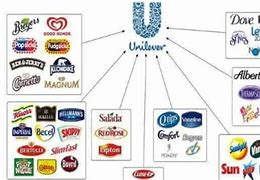 Image result for Unilever Schumacher CEO
