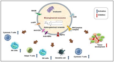 Bioengineering | Special Issue : Extracellular Vesicles: From Biology ...