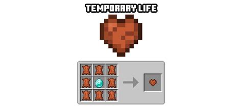 Image result for Minecraft 3rd Life Mod
