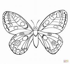 ausmalbild schmetterling umriss ausmalbild schmetterling ausmalbilder kostenlos zum ausmalbild schmetterling umriss ausmalbild schmetterling ausmalbilder kostenlos zum