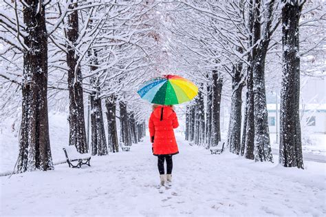 Tomorrow's Weather Québec city (Jan 30): Windy, Cold with Clear Evening - The Weather Network