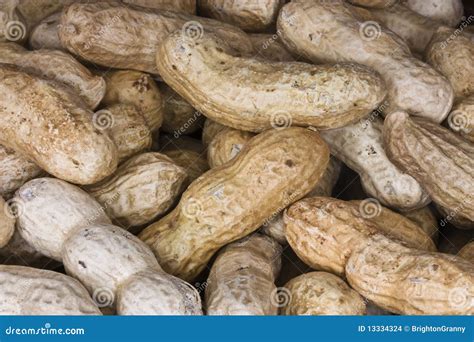 Peanuts in shells stock photo. Image of groundnuts, natural - 13334324