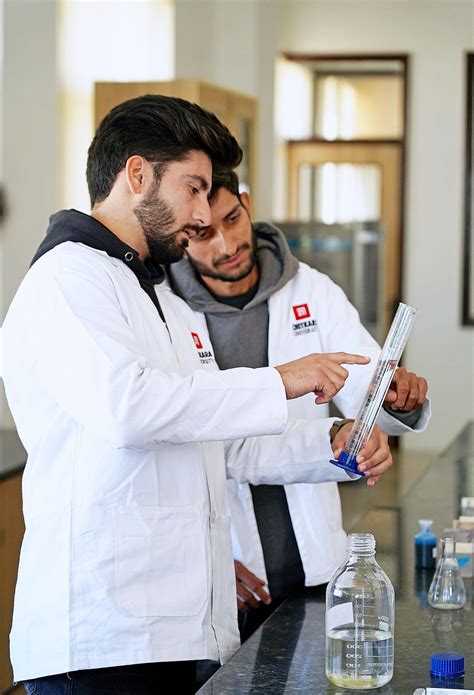 Doctor of Pharmacy (PharmD) — Post Baccalaureate Programs-Chitkara University | by Chitkara ...