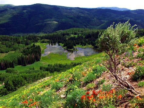 Kamas Utah Campgrounds: Find Your Perfect Spot