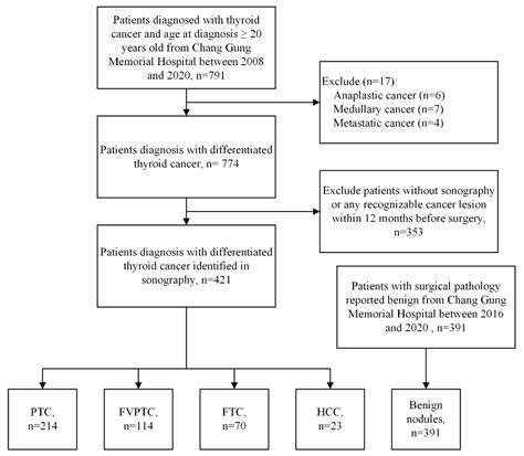 Using Deep Convolutional Neural Networks for Enhanced Ultrasonographic ...