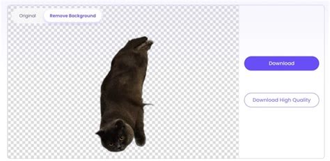Ai Green screen 的图像结果