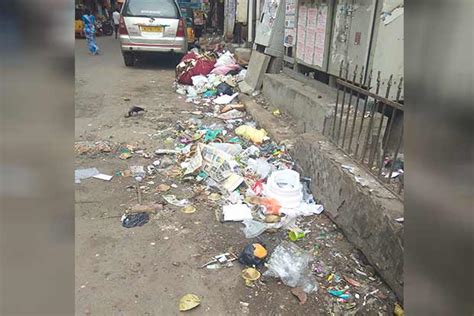 Uncleared garbage raises a stink in ‘bin-less’ Royapuram