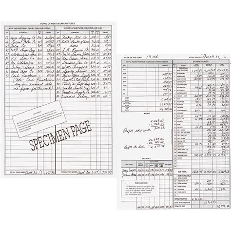 Image result for How to Write SQL Record Book