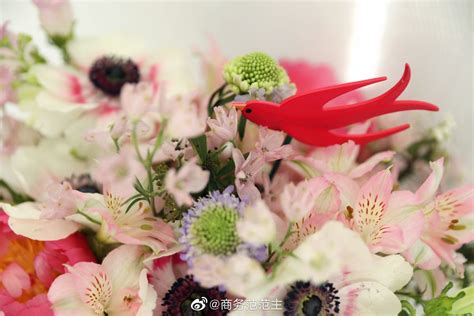 春天发什么礼物好最新素材