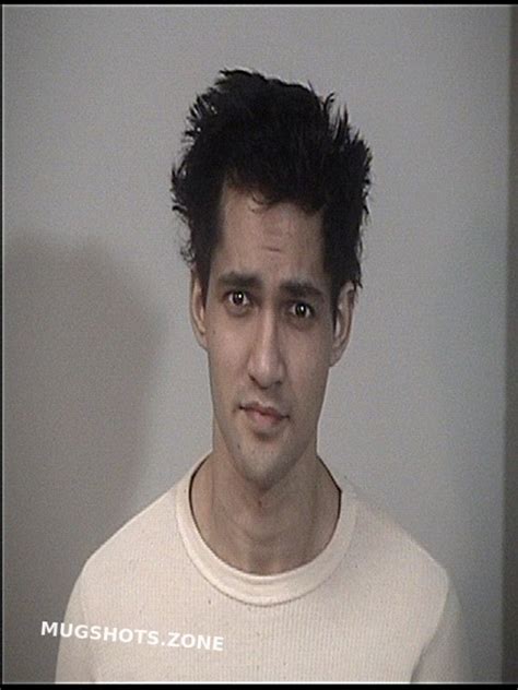 SAREEN ARNAV 01/31/2025 - Rappahannock Regional Jail Mugshots Zone