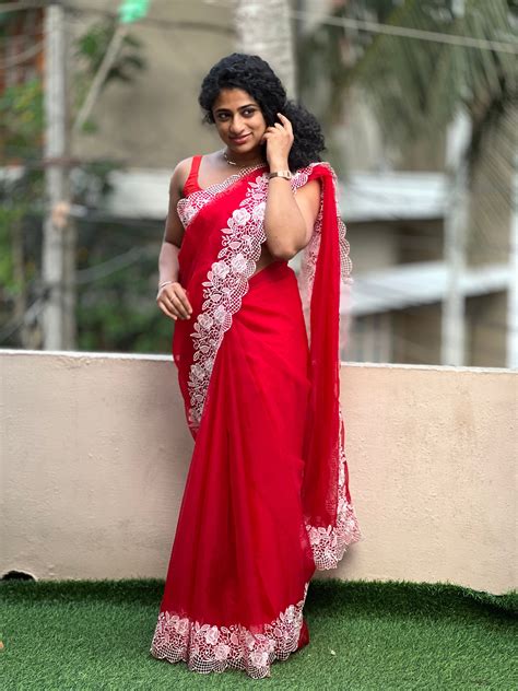 Cut Work Embroidery Border Pattern Viscose Organza Saree | RP386 – Aham ...