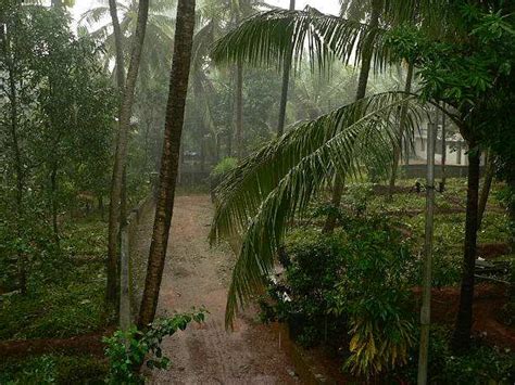 Commodities Live: Good News About Monsoon! Watch The Scientists Of The ...
