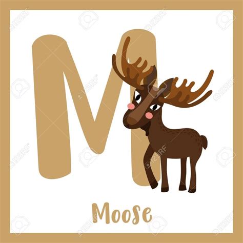 ¿Cómo se llama el alce en inglés? | CEI