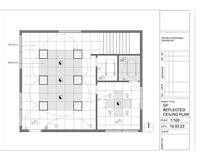 Reflected Ceiling Plan 的图像结果