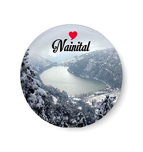 Buy PEACOCKRIDE Metal Fridge Magnet (Multicolour) Online at Low Prices ...