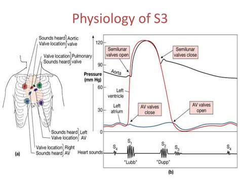 S3 and S4 Cardiology collection for students.pptx