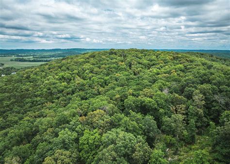 10 Acres of Recreational & Residential Land for Sale in House Springs ...