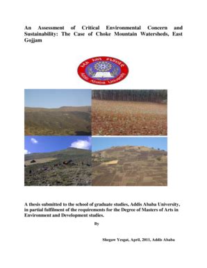 Fillable Online etd aau edu Shegaw yesgatpdf - Addis Ababa University ...