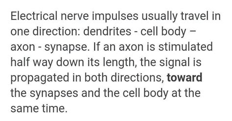 Which direction do nerves travel? - Brainly.in