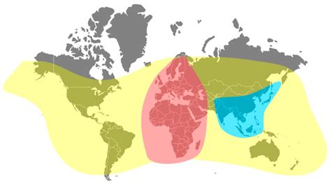 Diversity and Global Distribution of Viruses of the Western Honey Bee ...